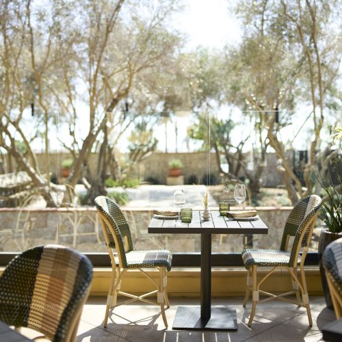 A sunny outdoor patio with woven chairs and a small table, overlooking a garden of trees, rocks, and potted plants.