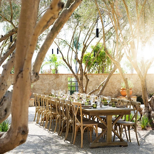 An outdoor dining setup under tree canopy with a long wooden table, chairs, place settings, and warm sunlight filtering through branches.
