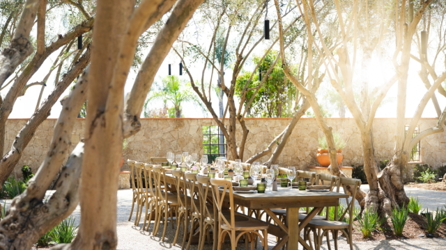 An outdoor dining setup under tree canopy with a long wooden table, chairs, place settings, and warm sunlight filtering through branches.