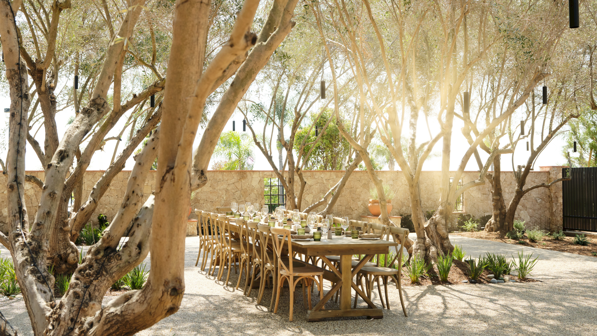 A sunlit outdoor dining setup under leafy trees with a long wooden table and chairs, a stone-paved yard, and a warm, inviting ambiance.