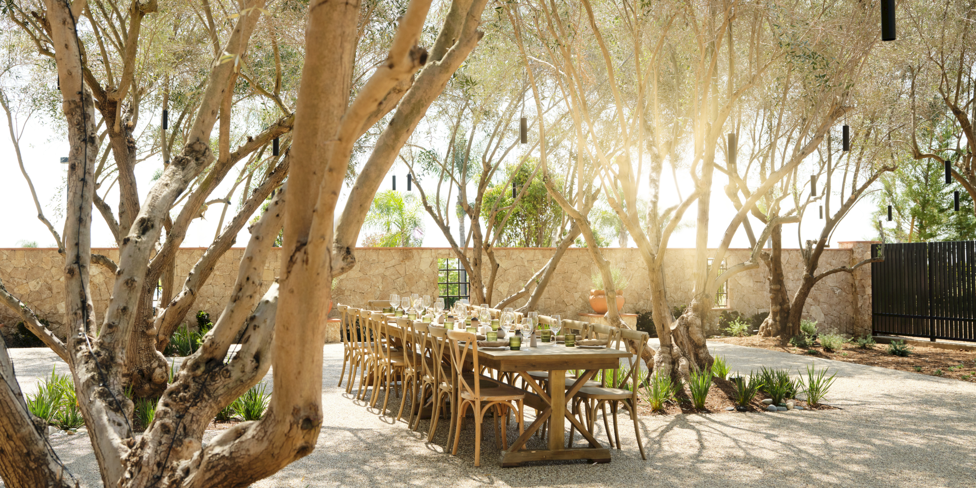 A sunlit outdoor dining setup under leafy trees with a long wooden table and chairs, a stone-paved yard, and a warm, inviting ambiance.